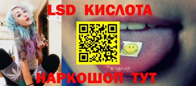 дживик Кингисепп