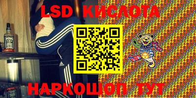 дживик Кингисепп