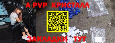дживик Кингисепп