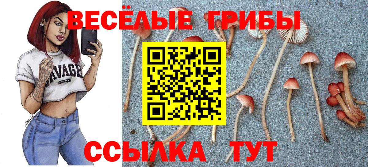 Шахты  Псилоцибиновые грибы ЛСД  Вход с VPN 
